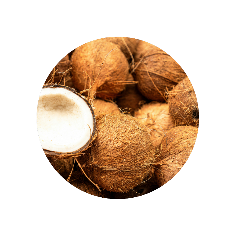 Coconut Shell Powder